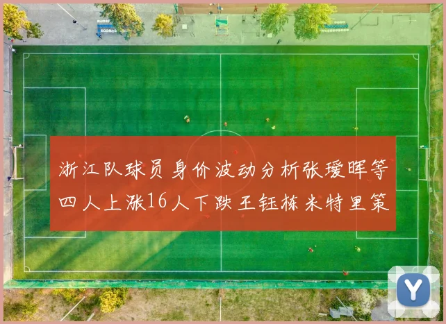浙江队球员身价波动分析张瑷晖等四人上涨16人下跌王钰栋米特里策保持不变