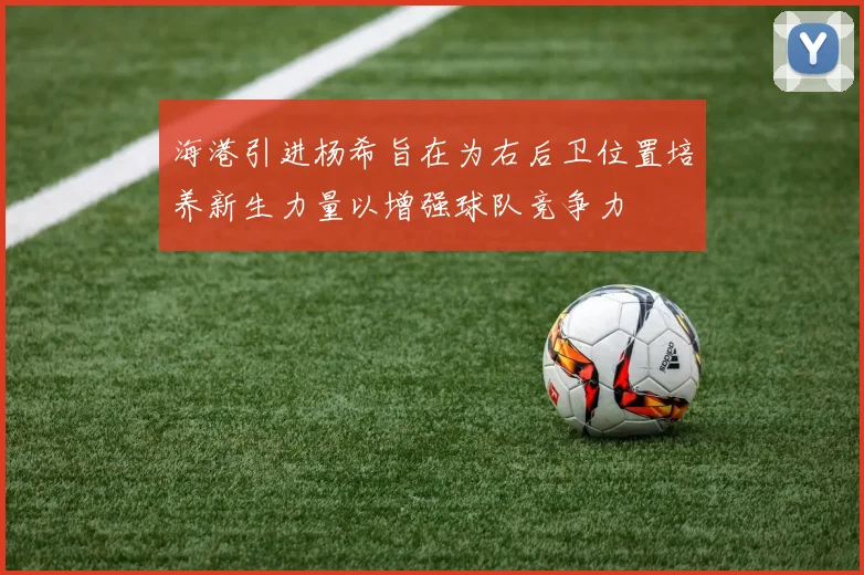 海港引进杨希旨在为右后卫位置培养新生力量以增强球队竞争力